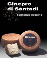 /album/foto-santadi-is-zuddas-costa-del-sud/a0004-ginepro-caserficcio-jpg/